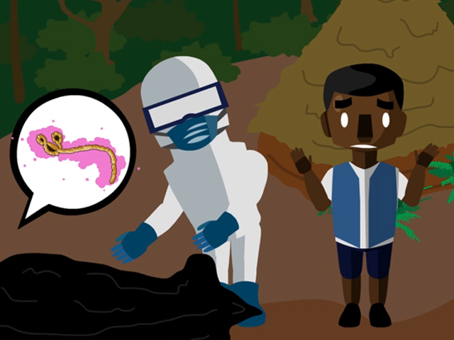 How to Prevent the Spread of Ebola