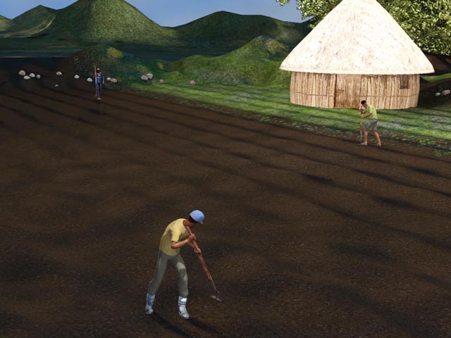 Row Planting of Teff